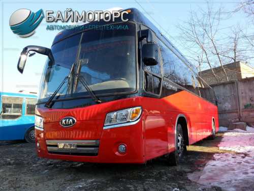  kia grandbird 2010