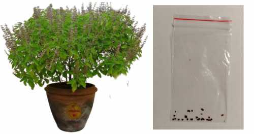 ������ ������, � ��������, ��� ����������� ����.