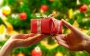 Что подарить девушке на Новый год 2014
