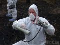 Ухудшения радиоактивной обстановки нет