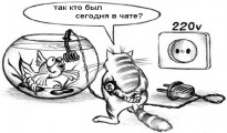 Пользователи за день